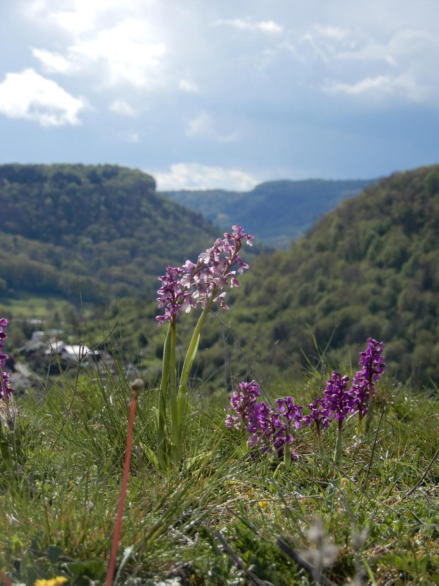 Maison De Vacances - Vue Panoramique Riviere Орнан Екстериор снимка